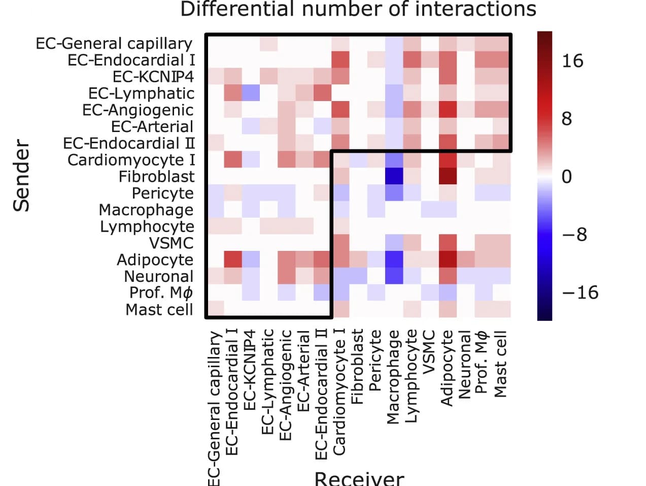 Open access visualization of Heatmap, Endothelial Cells, Cell Interactions, Sender Cells, Receiver Cells