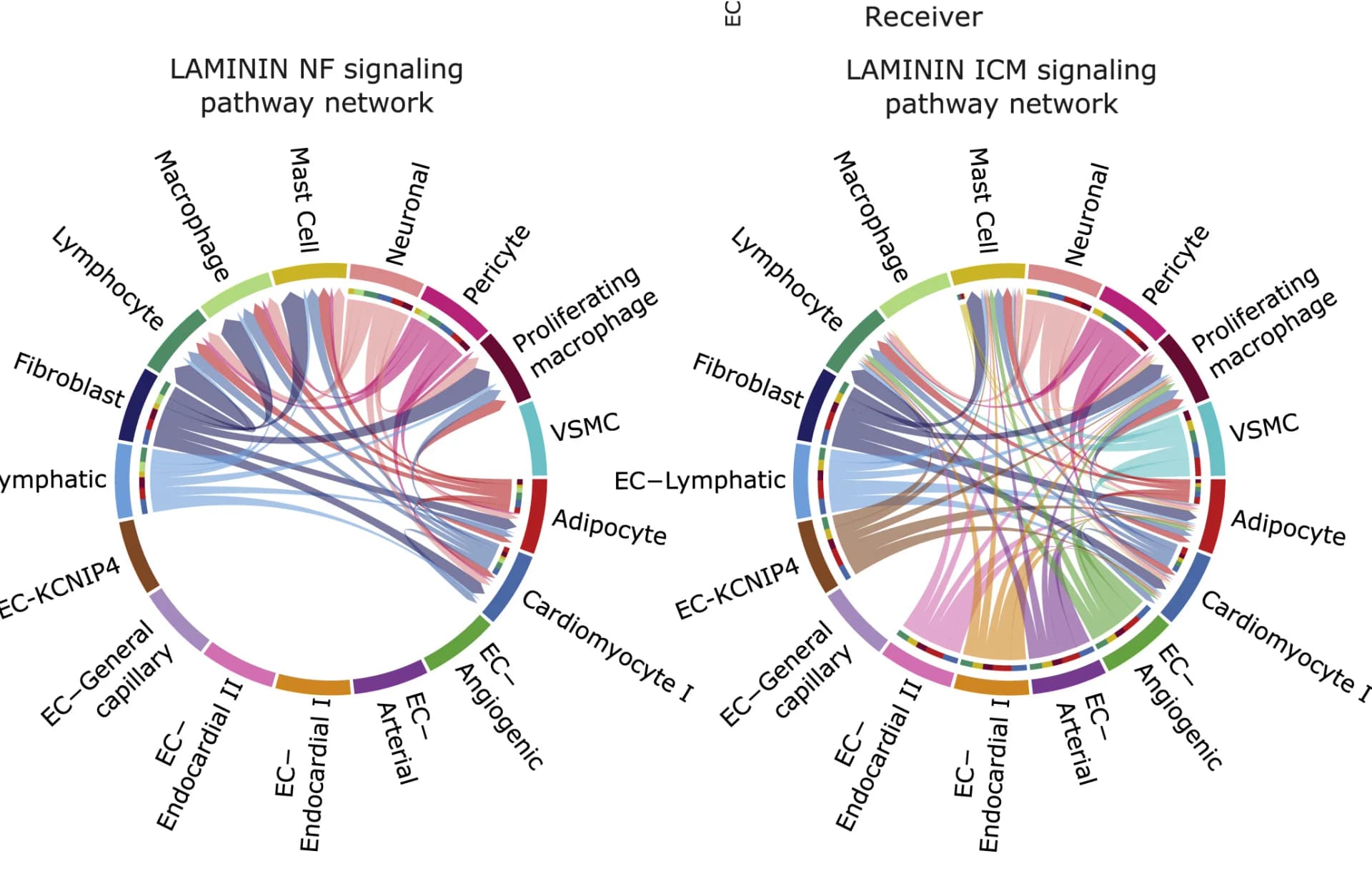 Open access visualization of Network, Pathway, Chord, Chord Diagram, LAMININ Signaling