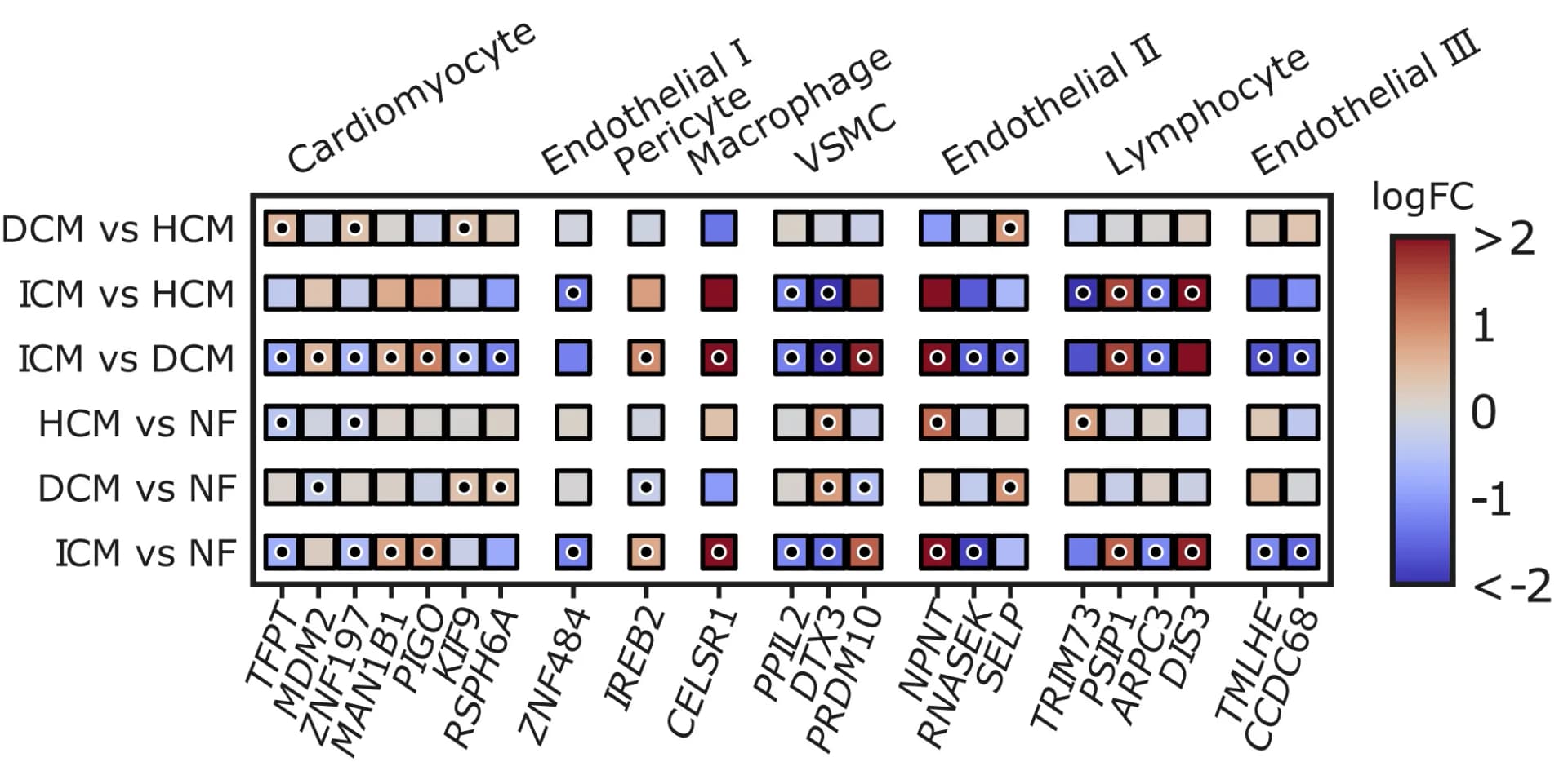 Open access visualization of Heatmap, Effect Size Estimates, Protein Coding Genes, Ischemic Cardiomyopathy, Non-failing