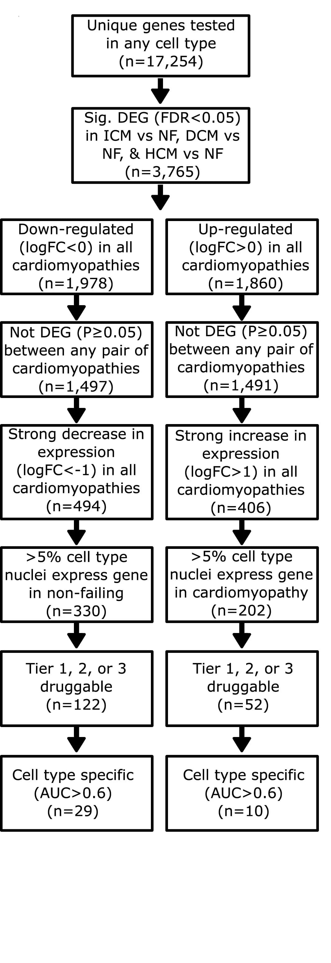 Open access visualization of Workflow, Flowchart, Flow Chart, Filtering Steps, Druggable Genes