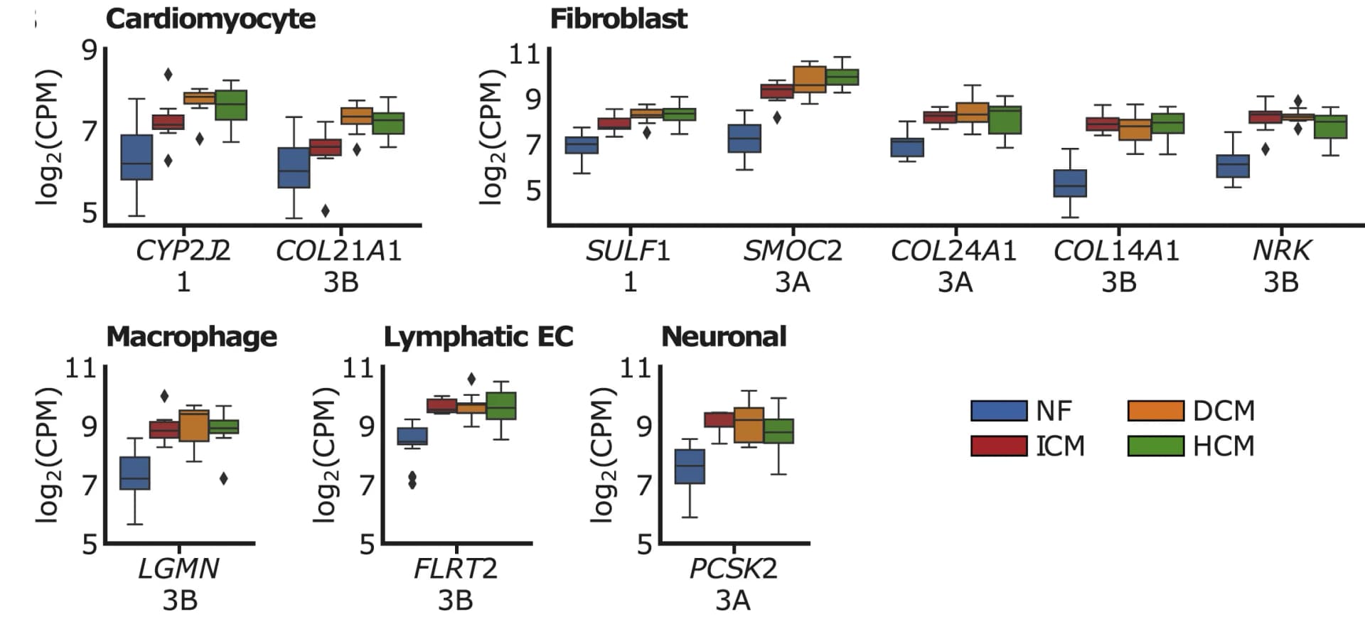 Open access visualization of Box Plot, Upregulated Genes, Cell-Type Specific, Druggable Genes