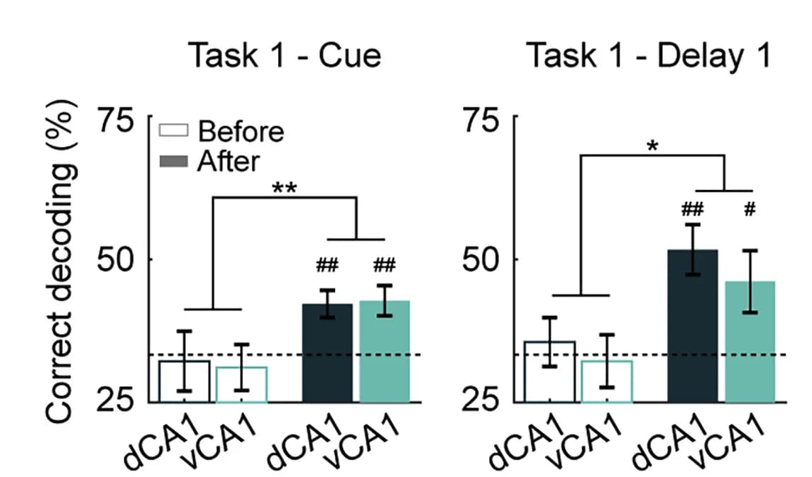 Open access visualization of Bar Plot, Error Bars, Clustered, Odor Cues, Neural Data