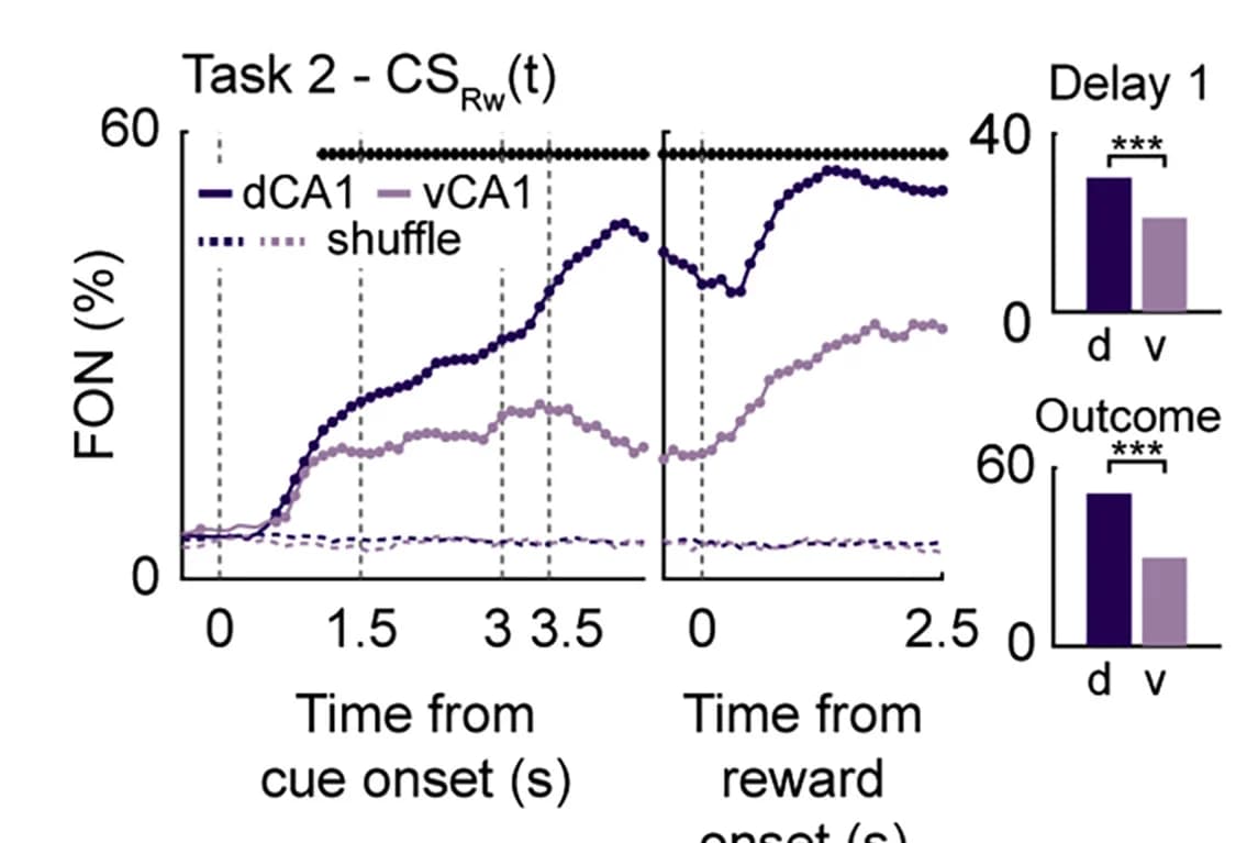 Open access visualization of Line Plot, Bar Plot, Neurons, dCA1 Neurons, vCA1 Neurons
