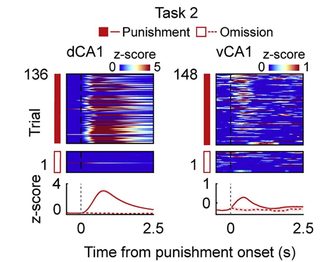 Open access visualization of Heatmap, Line Plot, Neurons, Reward, Punishment