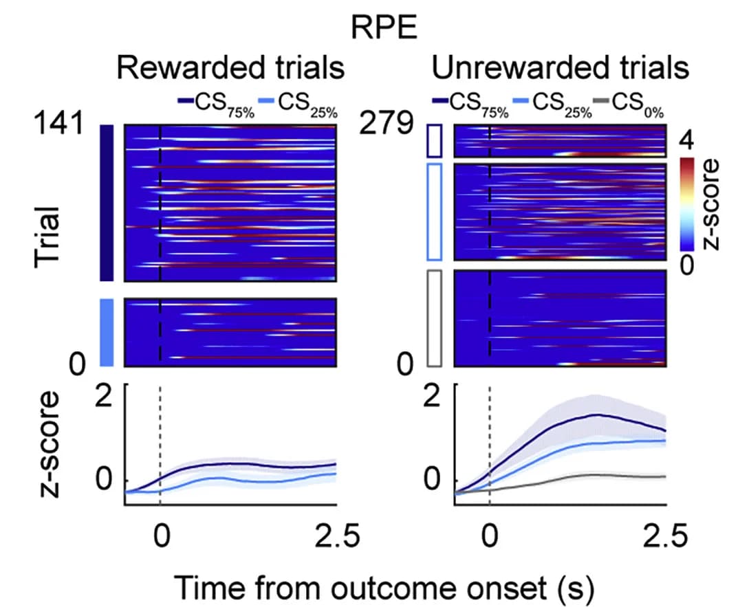 Open access visualization of Heatmap, Line Plot, Error Bars, dCA1 Neurons, RPE