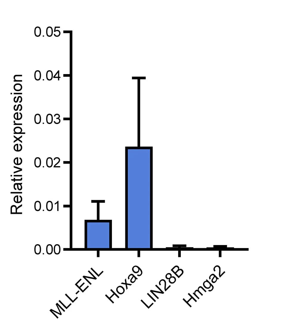Open access visualization of Bar Plot, Error Bars, qRT-PCR, Leukemic BM Cells, Bone Marrow