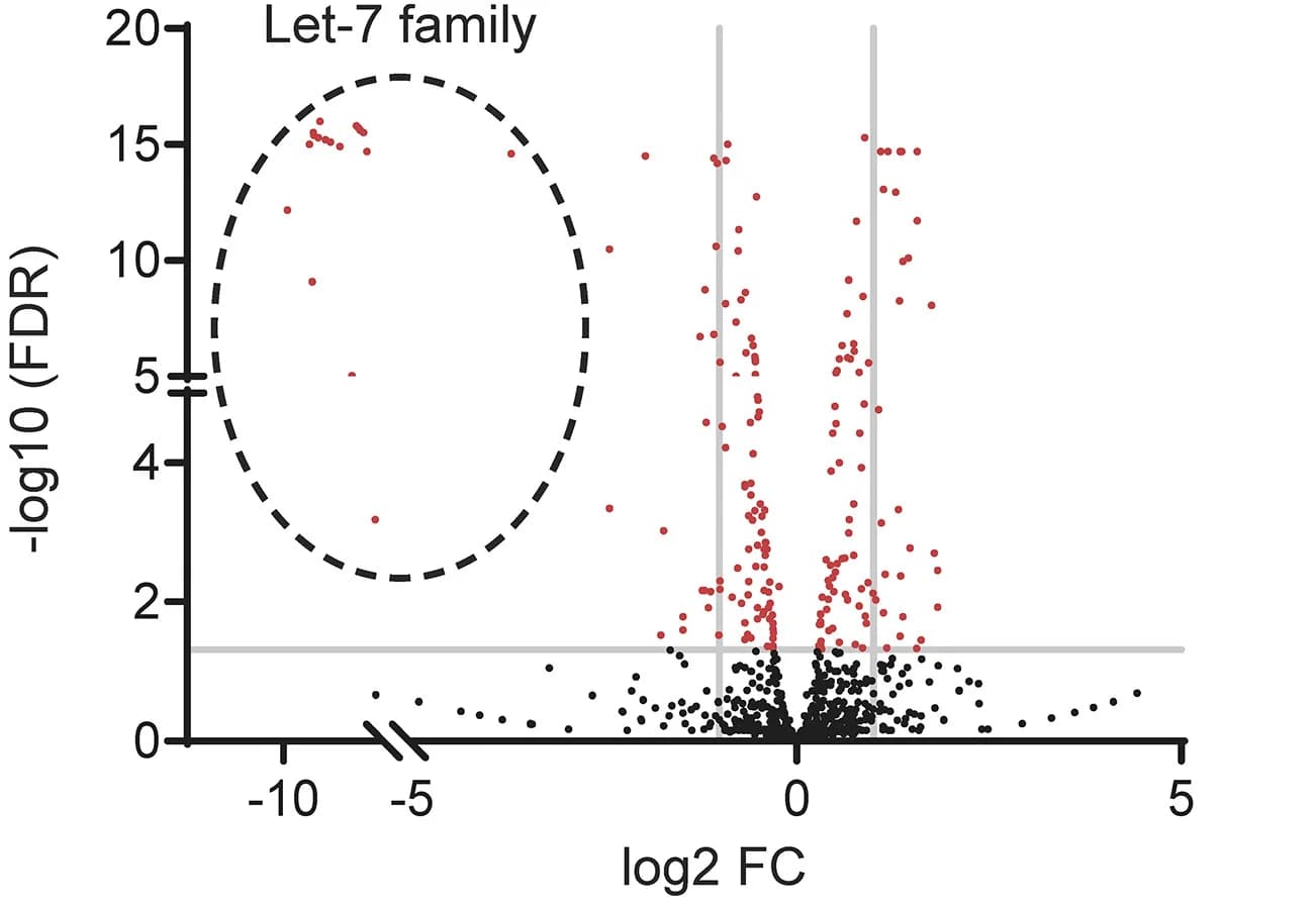 Open access visualization of Volcano Plot, Scatter Plot, miRNAs, L28BME GMLPs