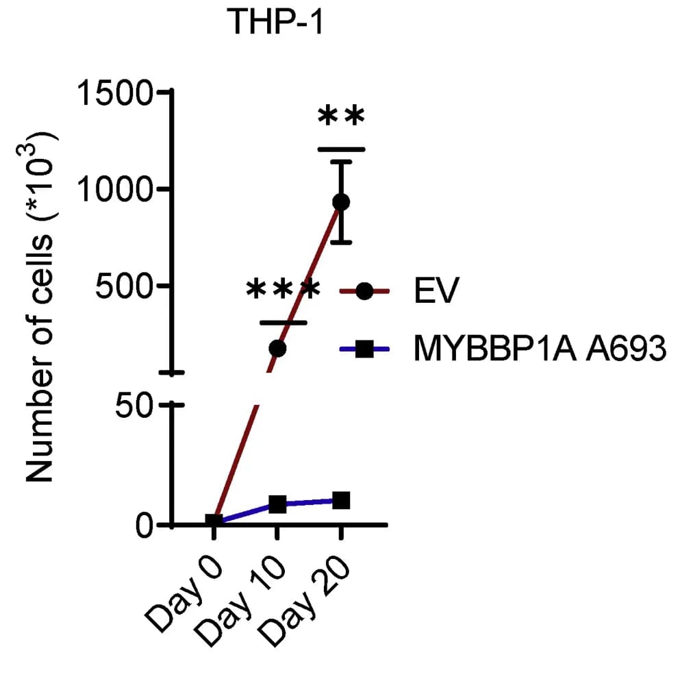Open access visualization of Line Plot, Error Bars, Cell Counts, AML, THP-1