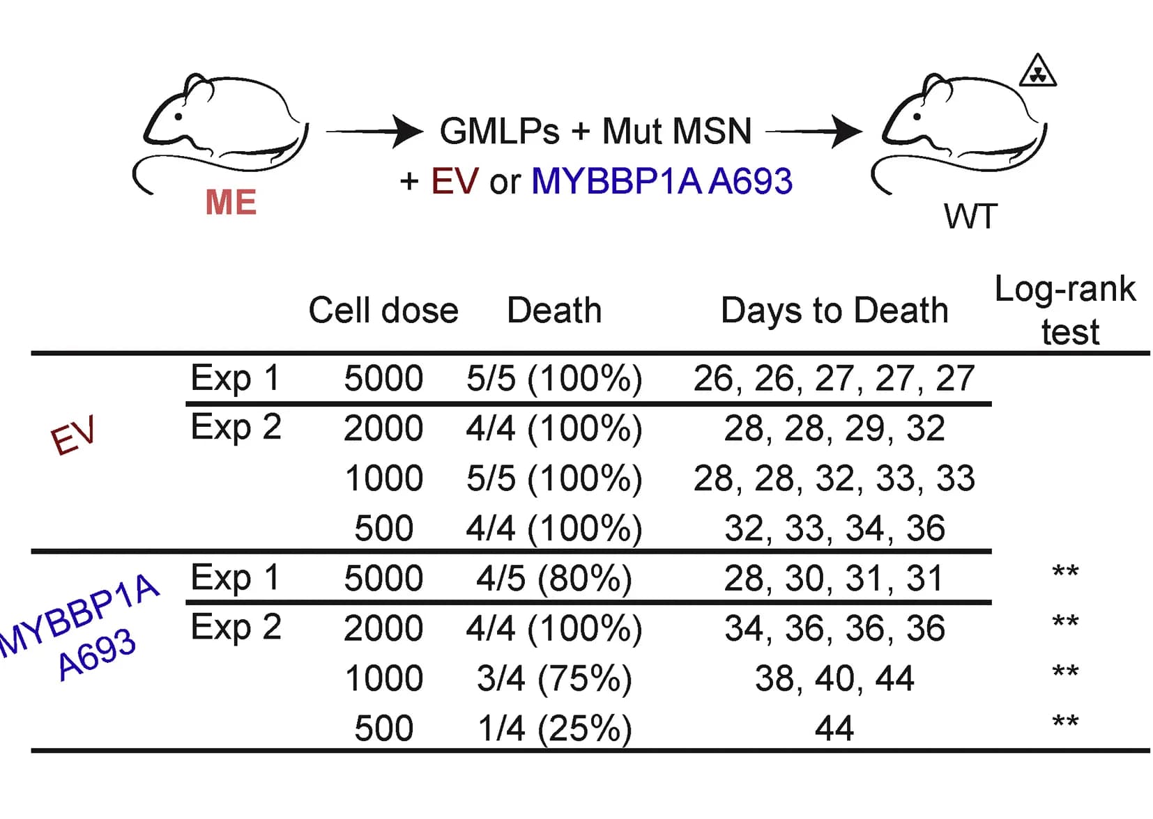 Open access visualization of Workflow, Illustration, Table Image, LIC Titration, MYBBP1A