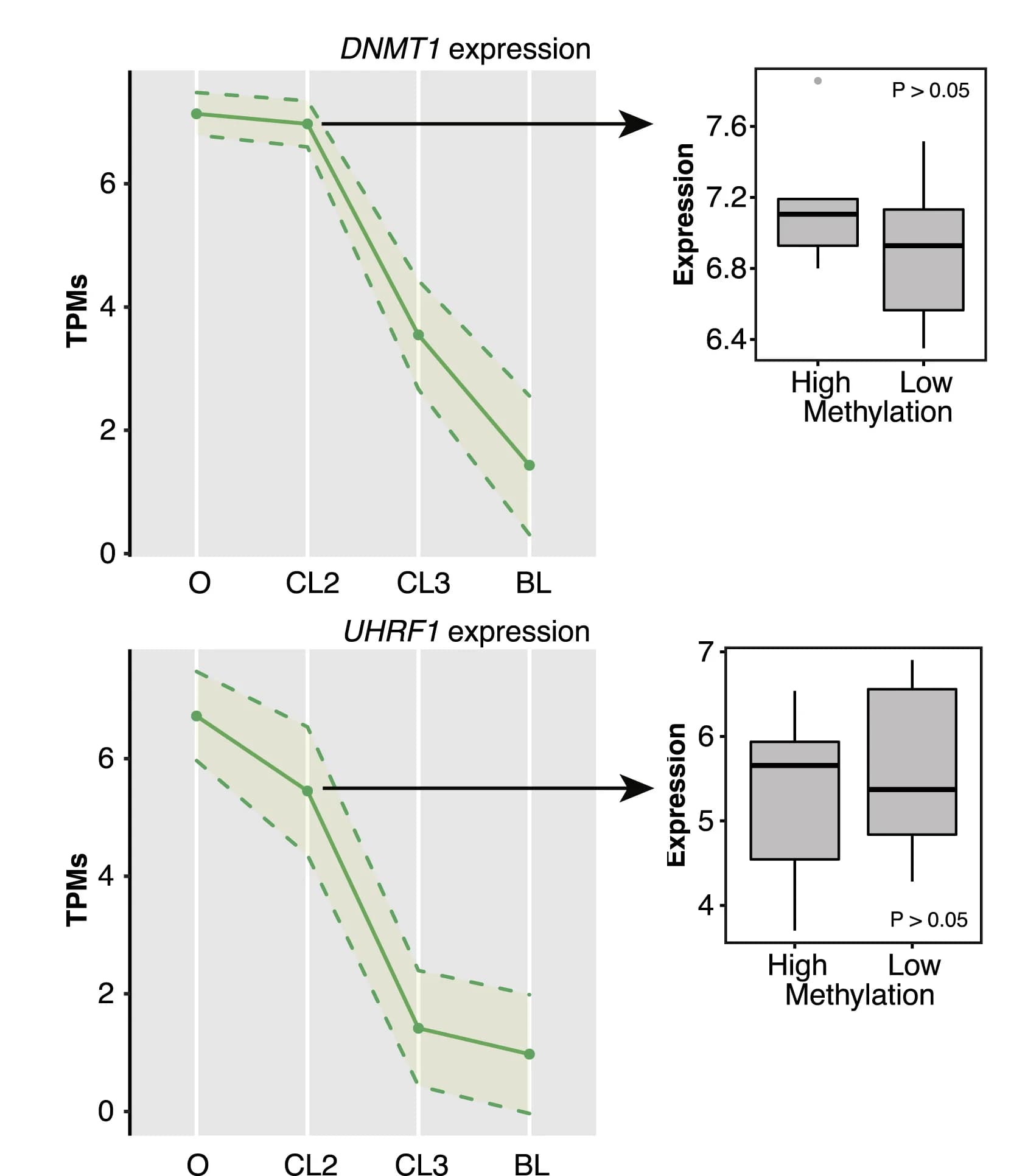 Open access visualization of Line Plot, Error Bars, Box Plot, Expression, DNMT1