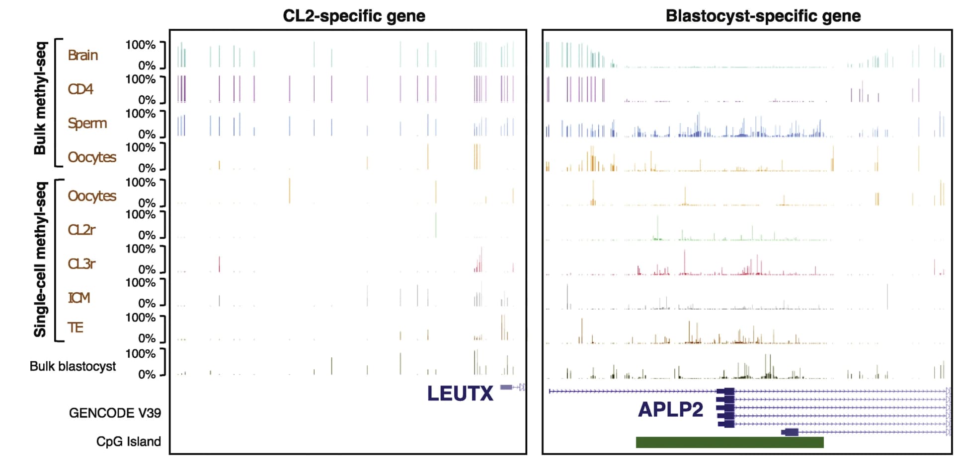 Open access visualization of Bar Plot, Methylation profiling, LEUTX, CL2 non-CpG island promoter gene, APLP2