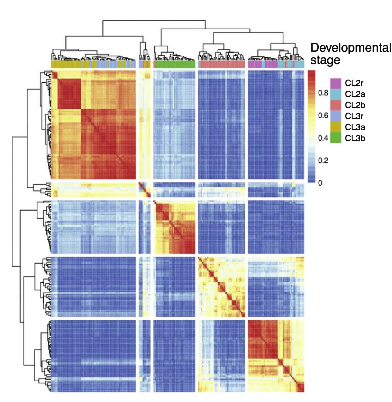 Open access visualization of Heatmap, Clustered, Cell Clustering, Reference Embryos, Arrest Embryos