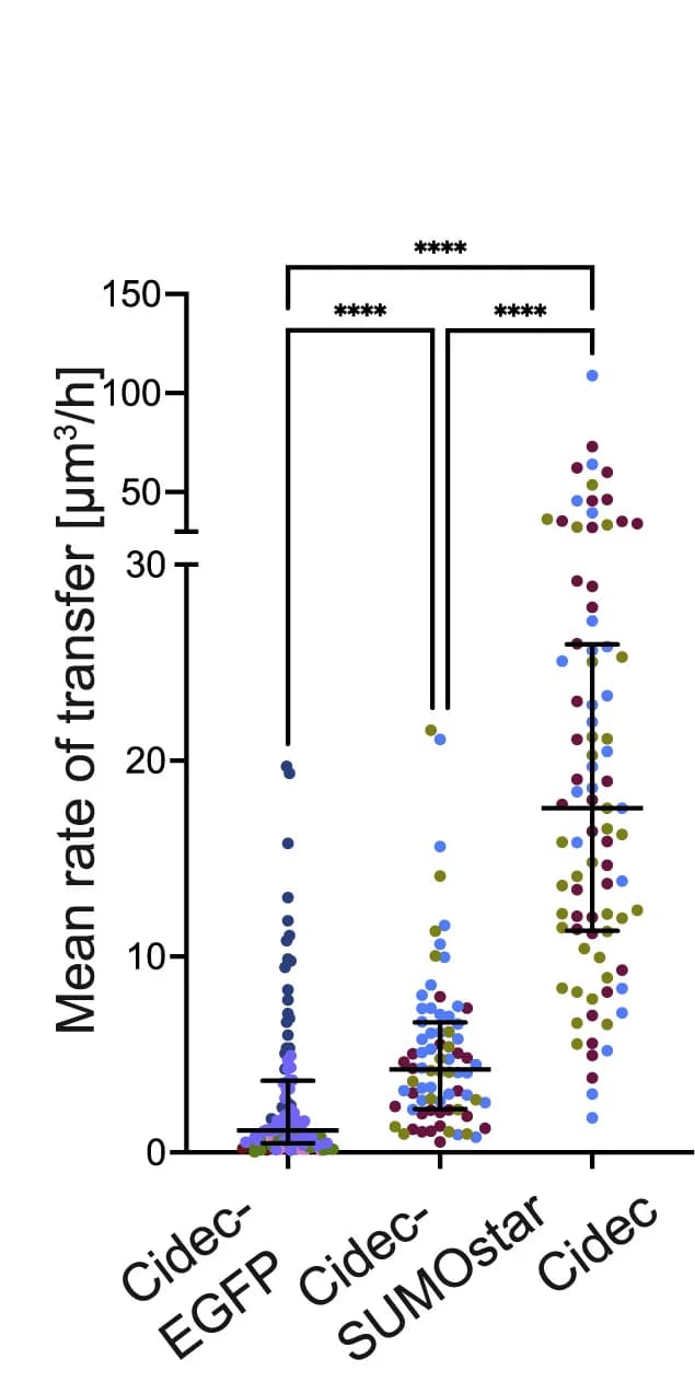 Open access visualization of Scatter Plot, Error Bars, Lipid transfer, FM images, LipidTOX