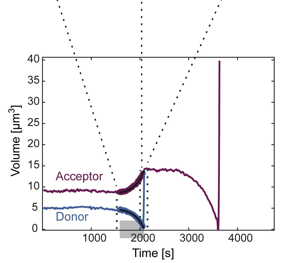 Open access visualization of Line Plot, Lipid Droplets, Cidec, Volume Change, Time Course