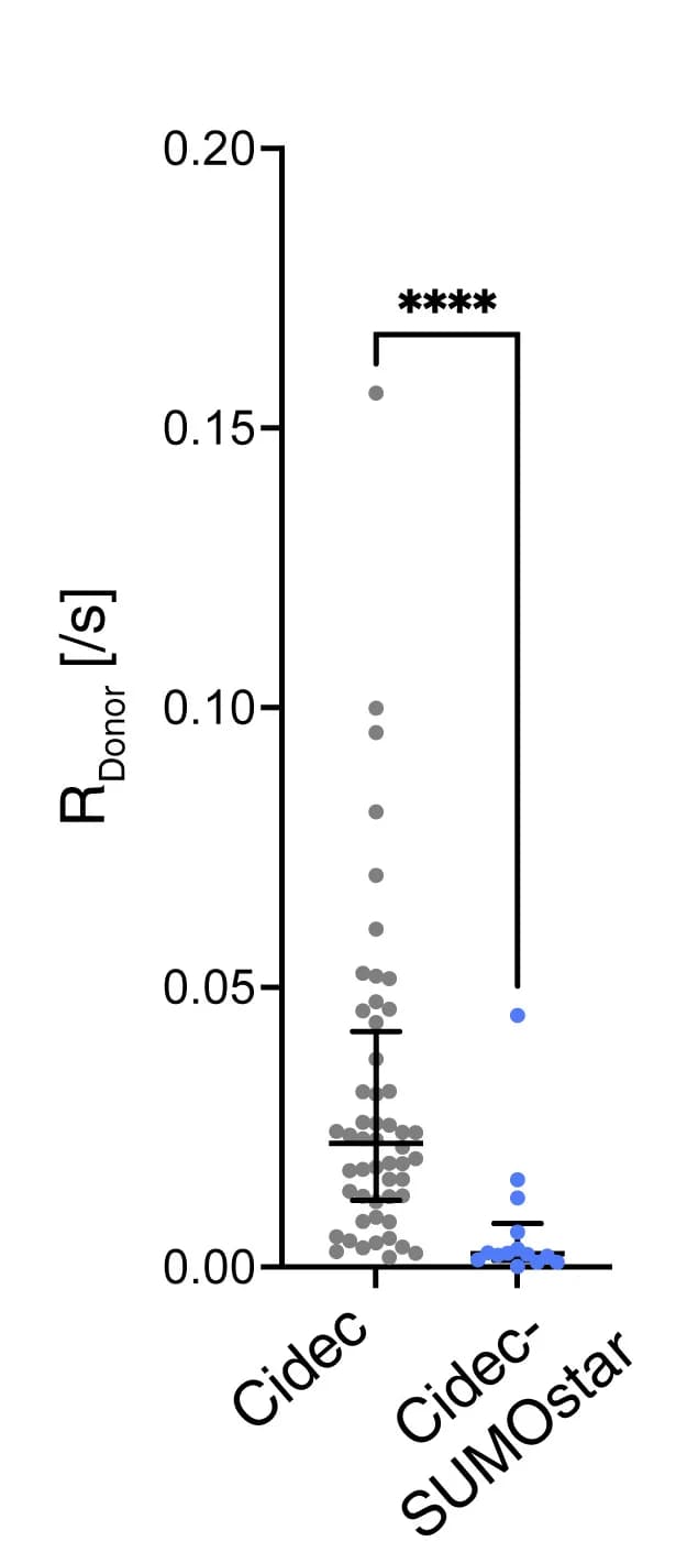 Open access visualization of Scatter Plot, Error Bars, R Values, Exponential Fits, Cidec