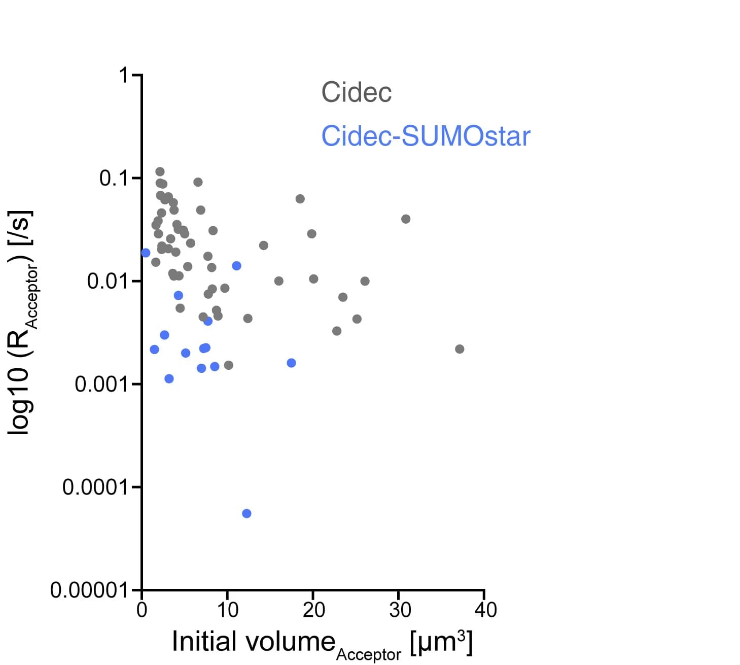 Open access visualization of Scatter Plot, R Values, Exponential Fits, Cidec, Cidec-SUMOstar