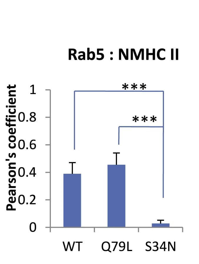 Open access visualization of Bar Plot, Error Bars, Pearson's Coefficient, NMHC IIA, Rab5-GFP