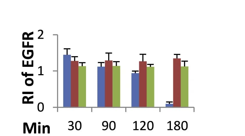 Open access visualization of Clustered, Error Bars, Bar Plot, Quantification, Immunoblots
