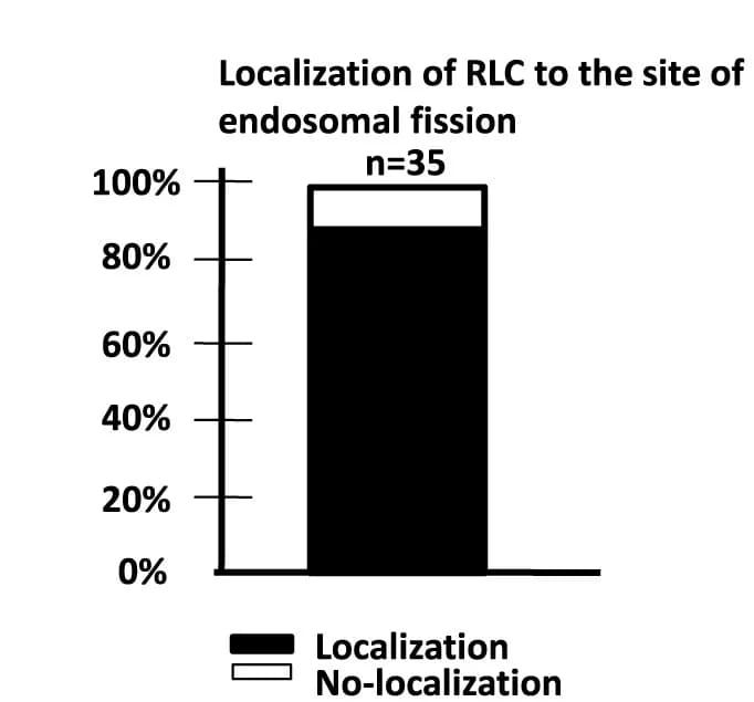 Open access visualization of Stacked Bar Plot, Fission events, RLC, Quantification