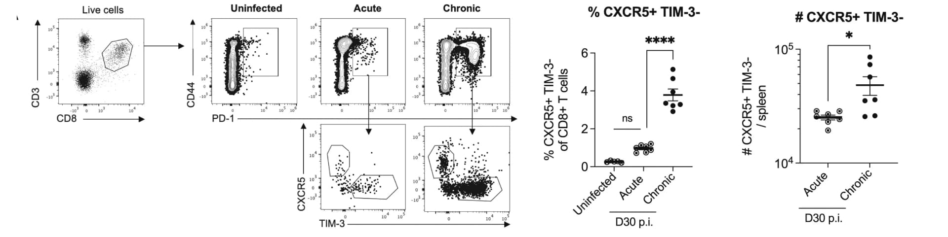 Open access visualization of Scatter Plot, Bar Plot, Error Bars, CXCR5+ TIM-3- CD8+ T Cells, LCMV-infected C57BL6/J Mice