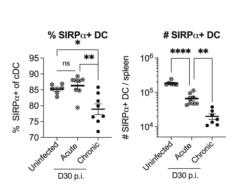 Open access visualization of Scatter Plot, Error Bars, SIRPa+ DCs, Flow Cytometry