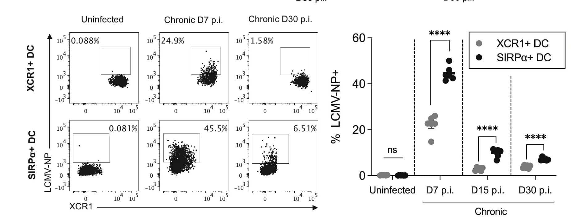 Open access visualization of Scatter Plot, Bar Plot, Error Bars, LCMV-NP Staining, LCMV-NP+ XCR1+ DCs