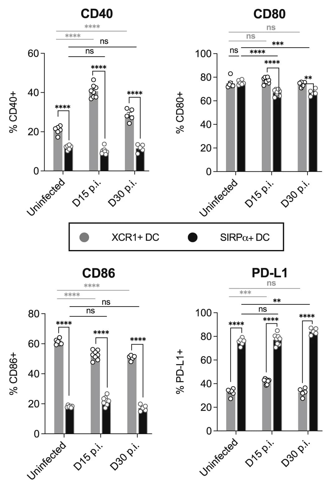 Open access visualization of Bar Plot, Scatter Plot, Clustered, CD40 Protein, CD80 Protein
