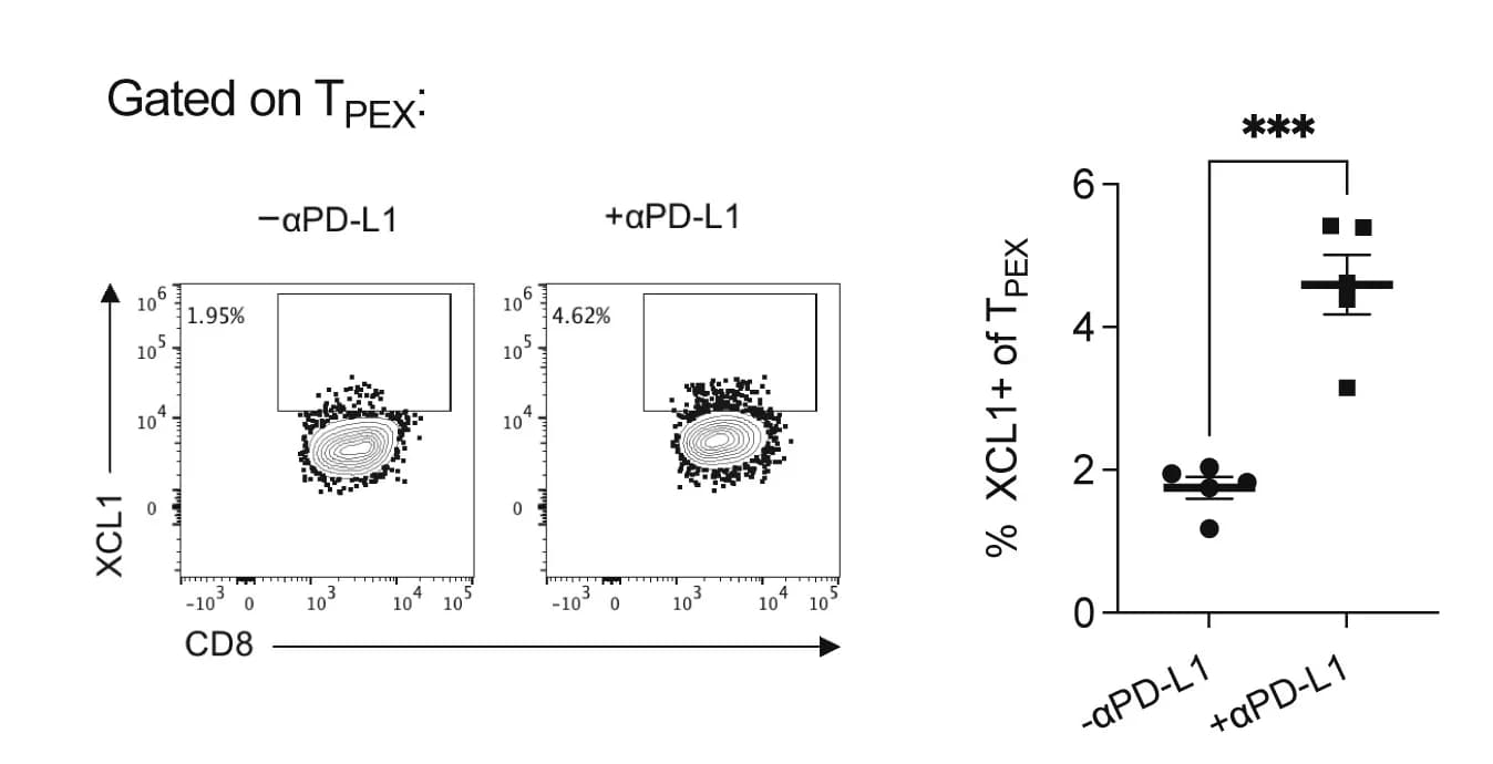 Open access visualization of Scatter Plot, Bar Plot, Error Bars, LCMV, Anti-PD-L1