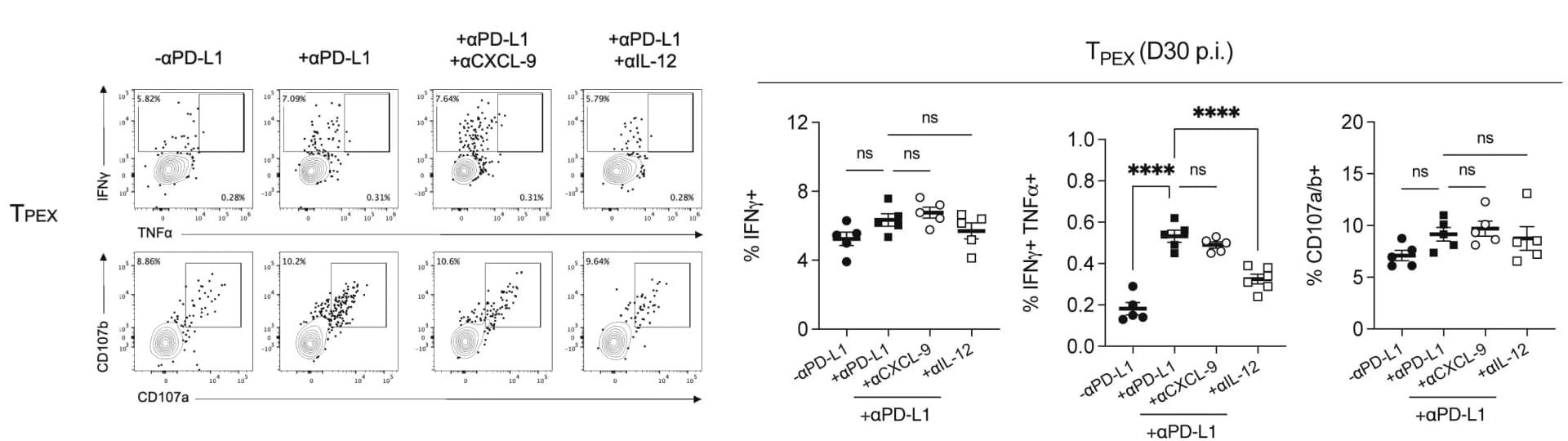 Open access visualization of Scatter Plot, Bar Plot, Error Bars, GP33-41, IFNγ