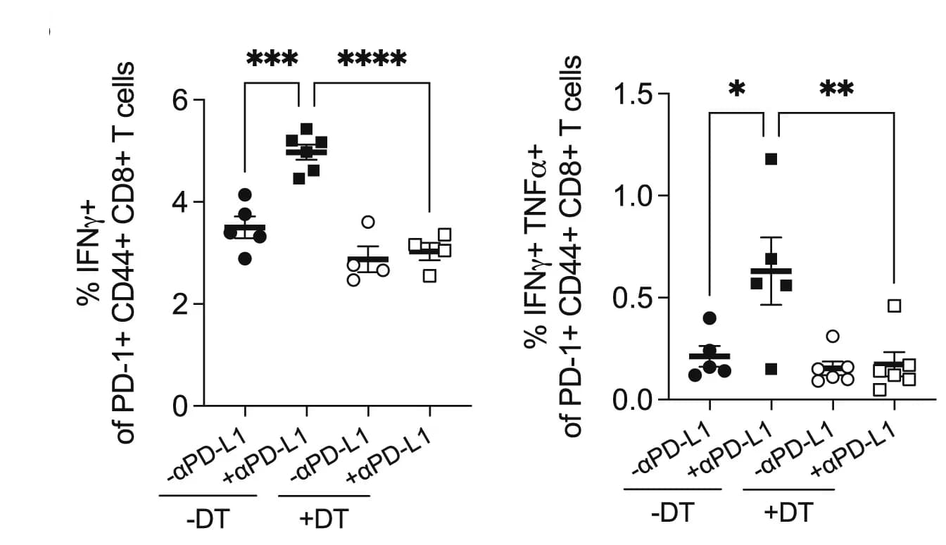 Open access visualization of Scatter Plot, Error Bars, GP33-41, IFNγ, TNFɑ