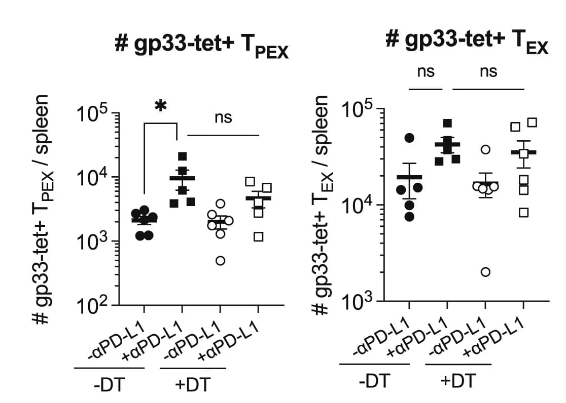 Open access visualization of Scatter Plot, Error Bars, Ki-67, Proliferation, gp33-tet