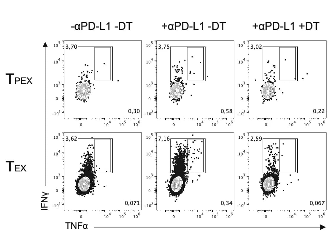 Open access visualization of Scatter Plot, IFNγ, Exhausted CD8+ T Cells