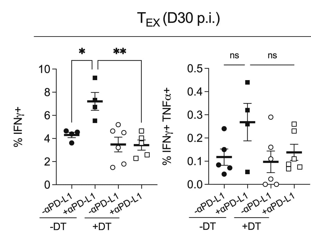 Open access visualization of Error Bars, Bar Plot, TNFɑ, Exhausted CD8+ T Cells