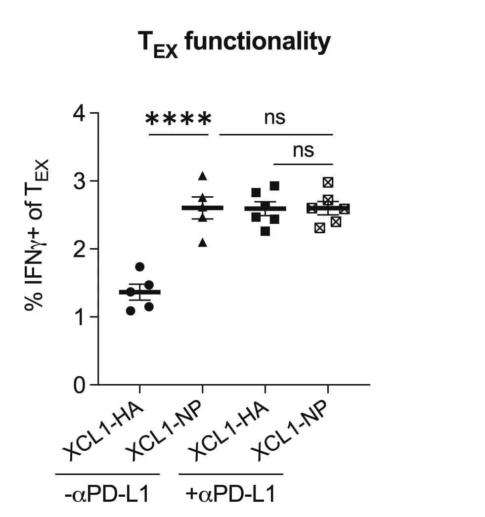 Open access visualization of Scatter Plot, Error Bars, Spleen, IFNγ-producing Exhausted T Cell Subsets