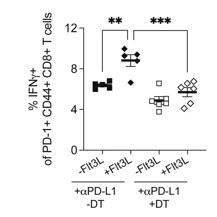 Open access visualization of Scatter Plot, Error Bars, Spleen, GP33-41-specific, IFNγ