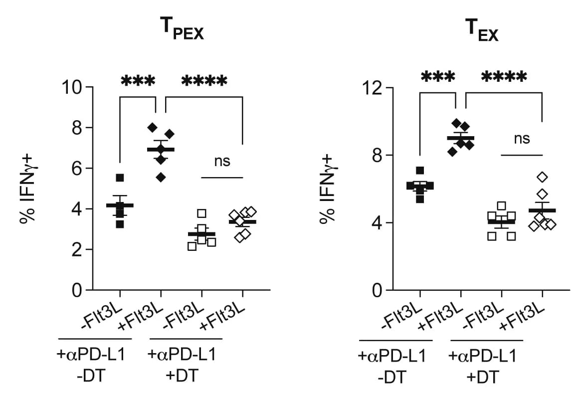 Open access visualization of Scatter Plot, Error Bars, GP33-41-specific, IFNγ, Exhausted CD8+ T Cells