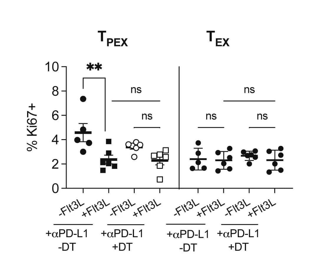 Open access visualization of Scatter Plot, Error Bars, Proliferating, Exhausted CD8+ T Cells, T Cell Subsets