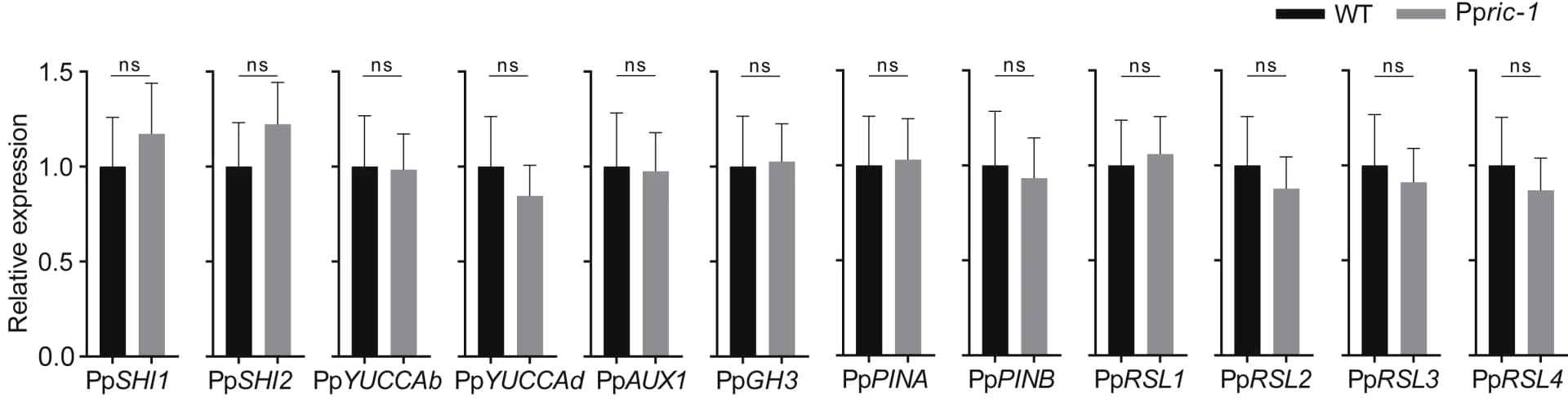 Open access visualization of Bar Plot, Error Bars, Clustered, qRT-PCR, Gene Expression