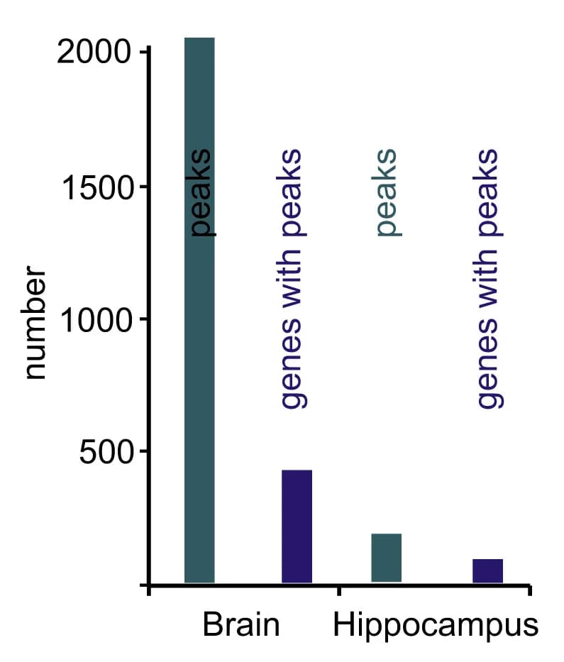 Open access visualization of Bar Plot, SLM2 Targets, CLIPper Analysis, IDR Analysis, eCLIP Samples