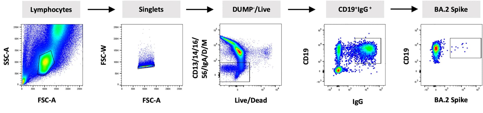 Open access visualization of Scatter Plot, Workflow, B Cells, BA.2