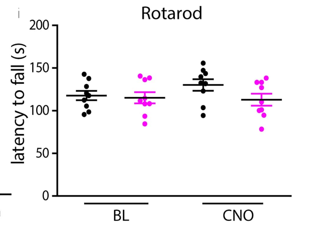 Open access visualization of Scatter Plot, Error Bars, hM4Di, c-MafEX neurons, Motor coordination