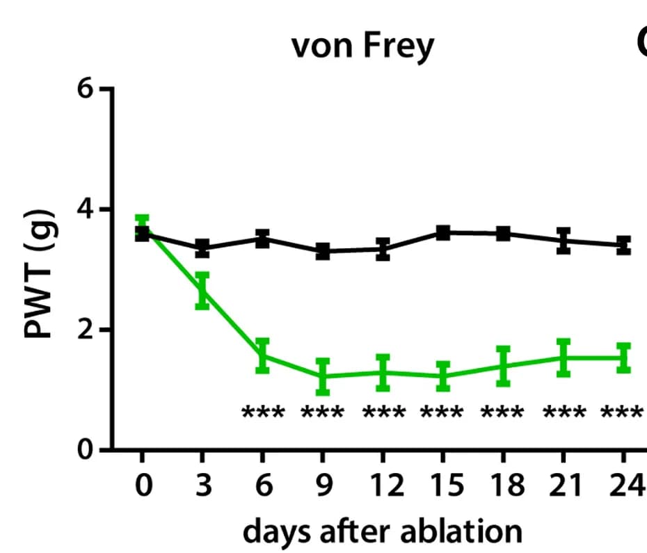 Open access visualization of Line Plot, Error Bars, Behavioral Responses, Ablation, PVINneurons