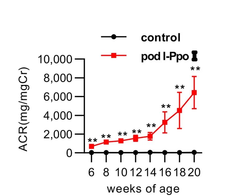 Open access visualization of Line Plot, Error Bars, Albuminuria, Time Course