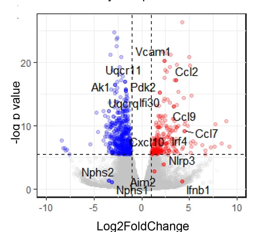 Open access visualization of Volcano Plot, RNA Sequence Analysis, Volcano Plots, Gene Ontology, Differentially Expressed Genes