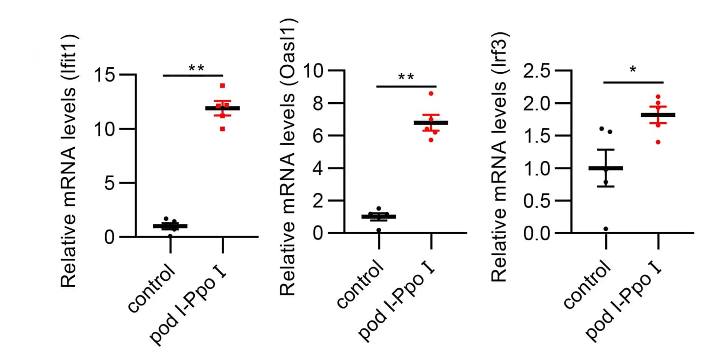 Open access visualization of Error Bars, Scatter Plot, Real-Time RT-PCR, Interferon-Stimulated Genes, Bone Marrow