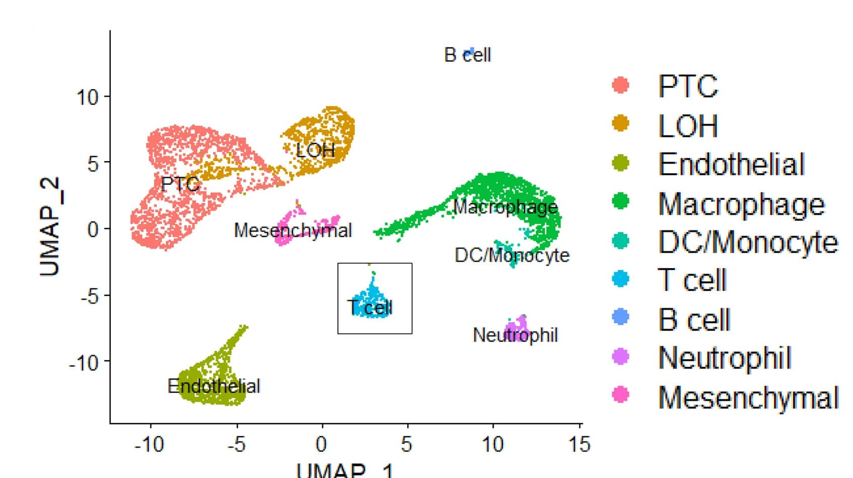 Open access visualization of UMAP, Single-cell data, Cell clusters, Sample information
