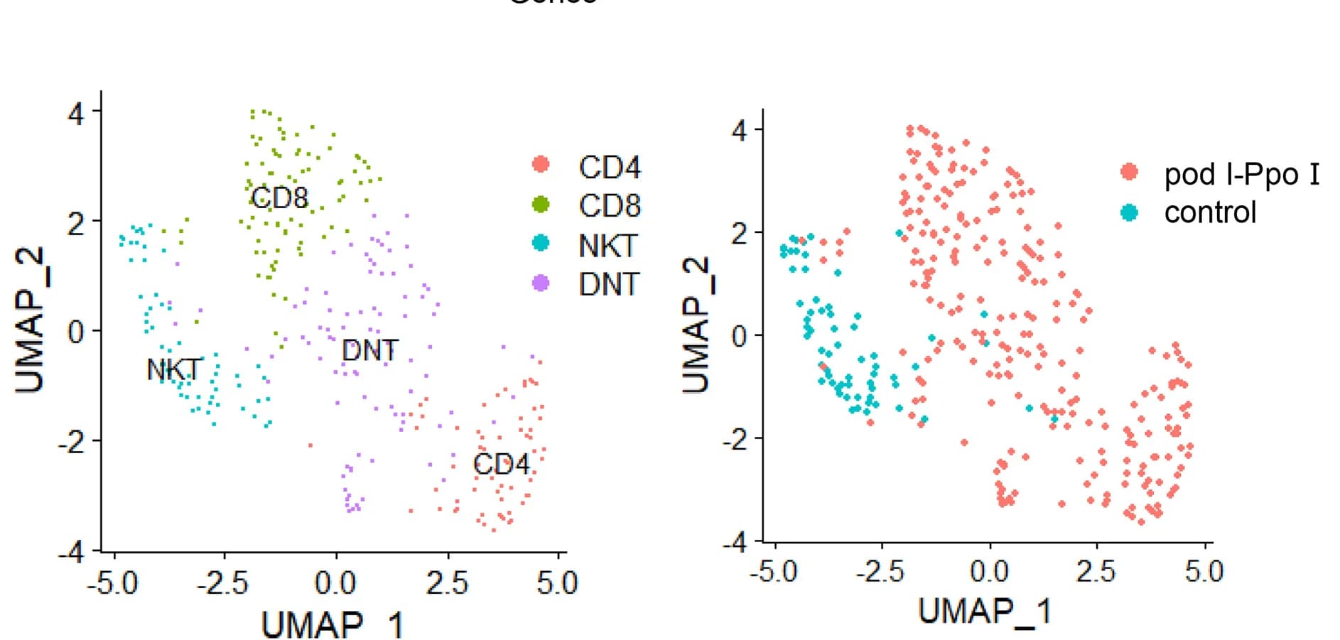 Open access visualization of UMAP, Scatter Plot, T Cells, Subclustering, Sample information