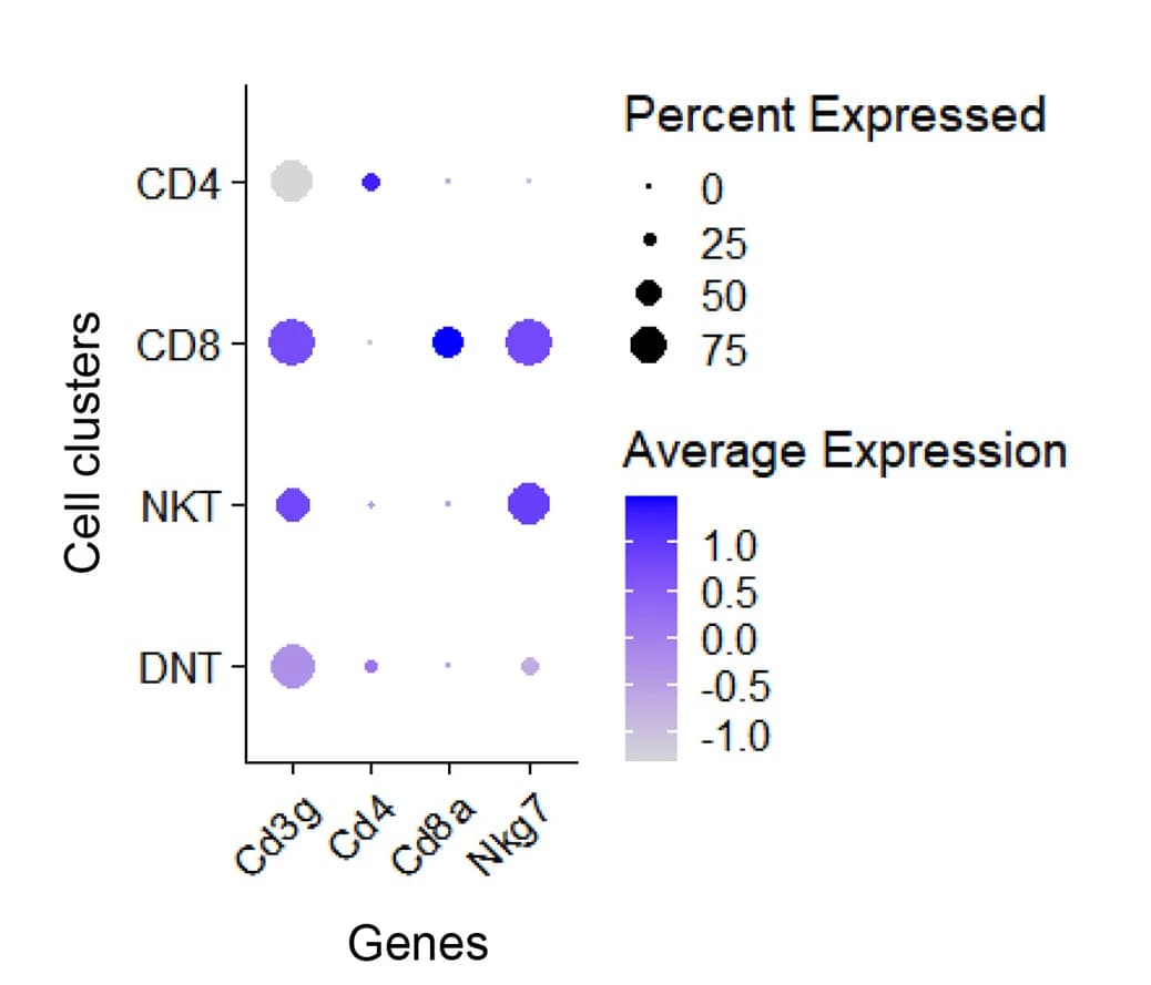 Open access visualization of Bubble Plot, Marker genes, Cell classification, Expression values