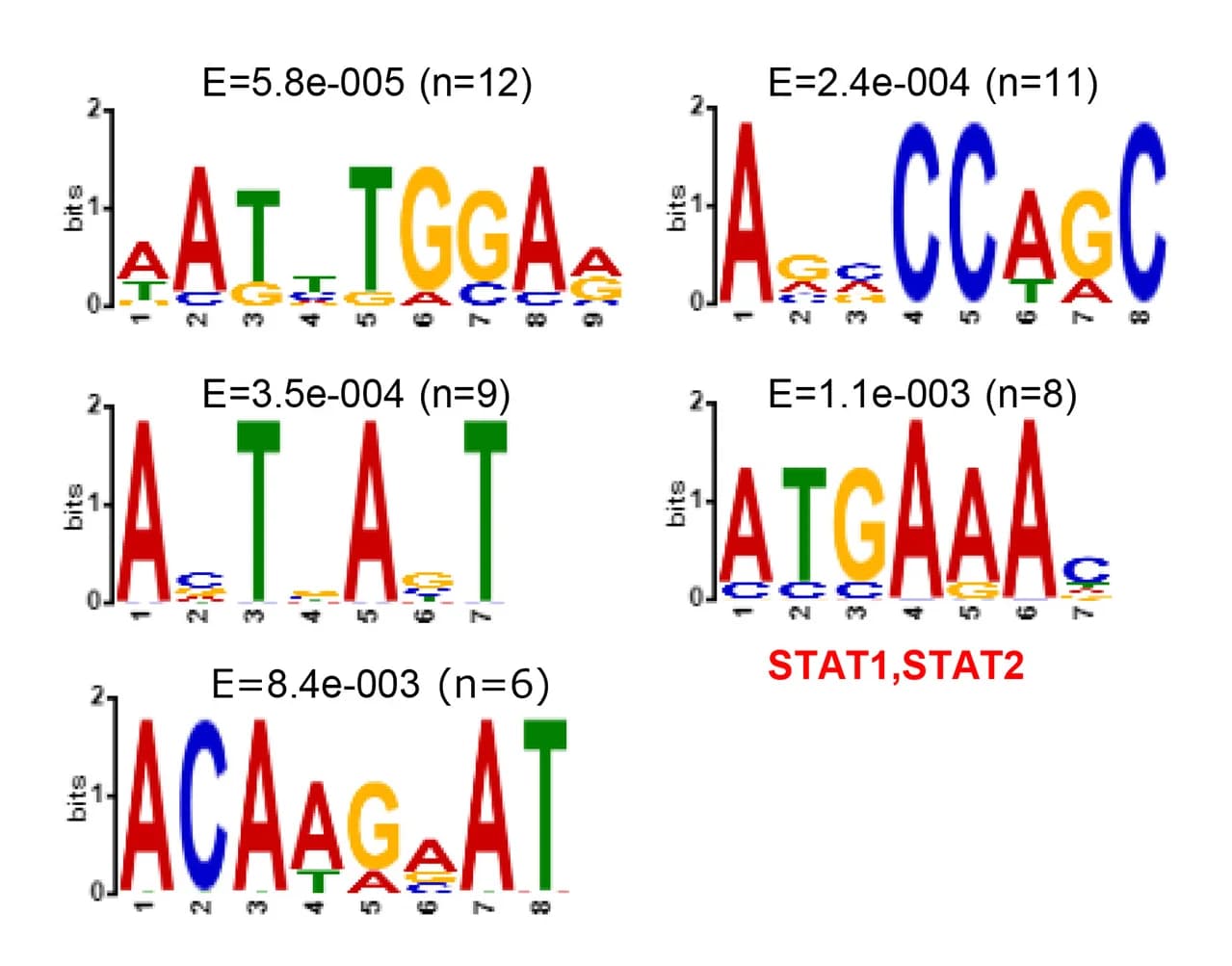 Open access visualization of Bar Plot, Enriched Motifs, Hypermethylated DMRs, Promoter Region, CpG Islands