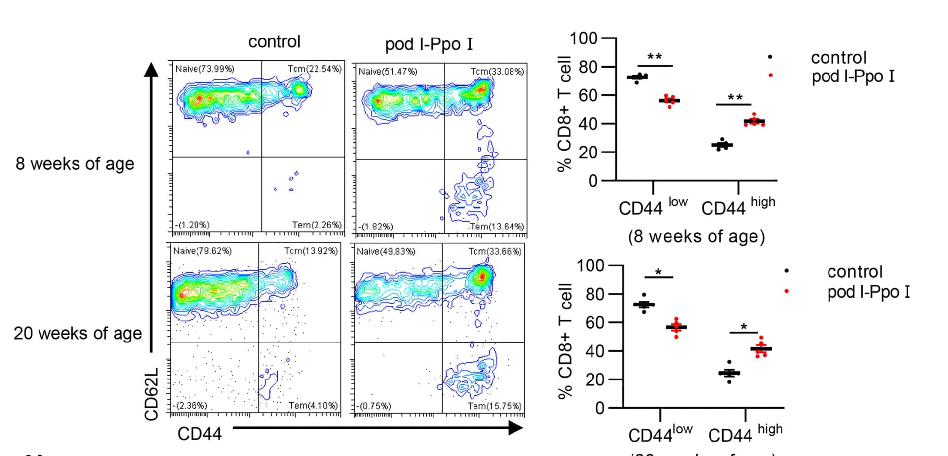 Open access visualization of Scatter Plot, Density Plot, Flow Cytometry, Peripheral Blood Mononuclear Cells, PBMC